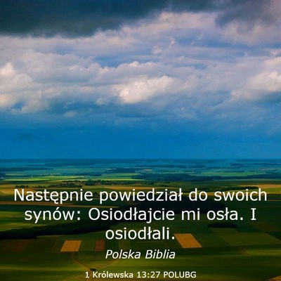 Picture 03 - 1 Królewska 13:27 POLUBG - Następnie powiedział do swoich synów: - Bible Verse Picture