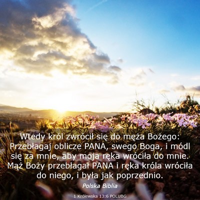 Picture 03 - 1 Królewska 13:6 POLUBG - Wtedy król zwrócił się do męża Bożego: - Bible Verse Picture