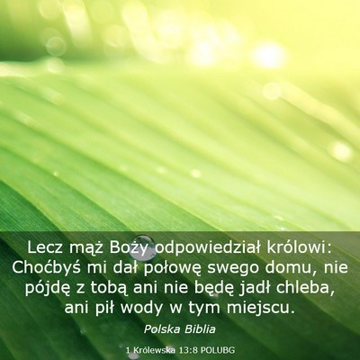 Picture 03 - 1 Królewska 13:8 POLUBG - Lecz mąż Boży odpowiedział królowi: - Bible Verse Picture