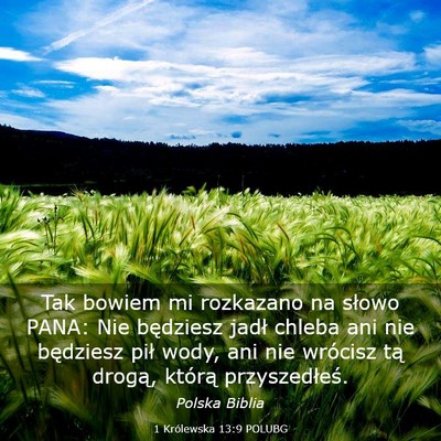 Picture 03 - 1 Królewska 13:9 POLUBG - Tak bowiem mi rozkazano na słowo PANA: Nie - Bible Verse Picture