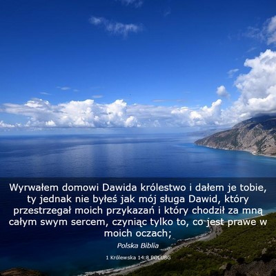 Picture 03 - 1 Królewska 14:8 POLUBG - Wyrwałem domowi Dawida królestwo i dałem je - Bible Verse Picture