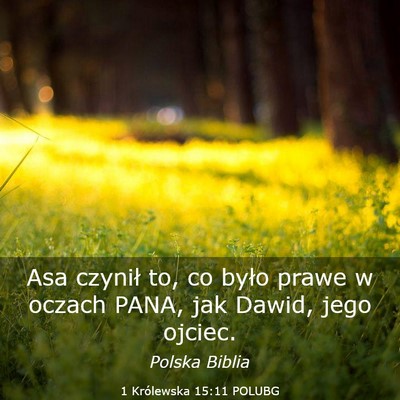 Picture 03 - 1 Królewska 15:11 POLUBG - Asa czynił to, co było prawe w oczach PANA, jak - Bible Verse Picture