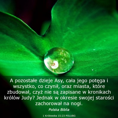 Picture 03 - 1 Królewska 15:23 POLUBG - A pozostałe dzieje Asy, cała jego potęga i - Bible Verse Picture