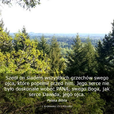 Picture 03 - 1 Królewska 15:3 POLUBG - Szedł on śladem wszystkich grzechów swego - Bible Verse Picture