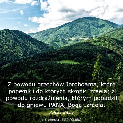 Picture 03 - 1 Królewska 15:30 POLUBG - Z powodu grzechów Jeroboama, które popełnił i - Bible Verse Picture