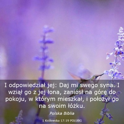 Picture 03 - 1 Królewska 17:19 POLUBG - I odpowiedział jej: Daj mi swego syna. I wziął - Bible Verse Picture