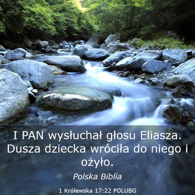 Picture 03 - 1 Królewska 17:22 POLUBG - I PAN wysłuchał głosu Eliasza. Dusza dziecka - Bible Verse Picture