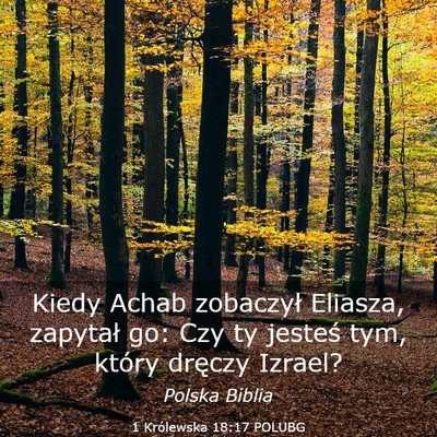 Picture 03 - 1 Królewska 18:17 POLUBG - Kiedy Achab zobaczył Eliasza, zapytał go: Czy - Bible Verse Picture