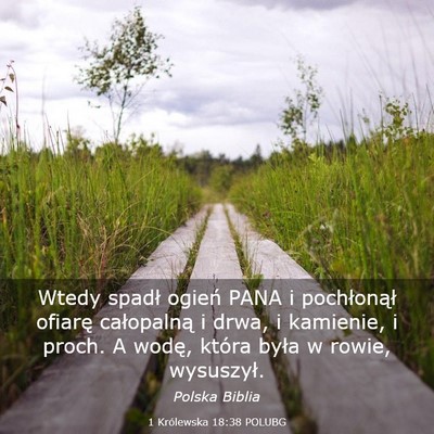 Picture 03 - 1 Królewska 18:38 POLUBG - Wtedy spadł ogień PANA i pochłonął ofiarę - Bible Verse Picture
