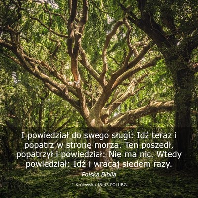 Picture 03 - 1 Królewska 18:43 POLUBG - I powiedział do swego sługi: Idź teraz i - Bible Verse Picture