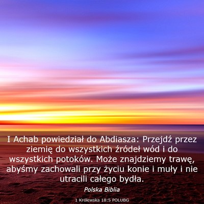 Picture 03 - 1 Królewska 18:5 POLUBG - I Achab powiedział do Abdiasza: Przejdź przez - Bible Verse Picture