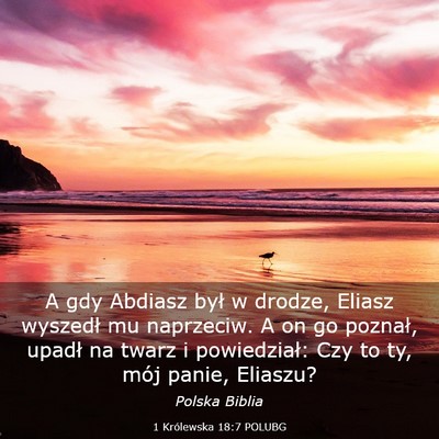 Picture 03 - 1 Królewska 18:7 POLUBG - A gdy Abdiasz był w drodze, Eliasz wyszedł mu - Bible Verse Picture
