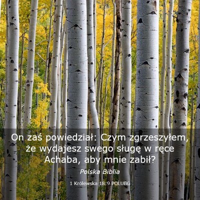 Picture 03 - 1 Królewska 18:9 POLUBG - On zaś powiedział: Czym zgrzeszyłem, że - Bible Verse Picture