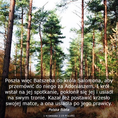 Picture 03 - 1 Królewska 2:19 POLUBG - Poszła więc Batszeba do króla Salomona, aby - Bible Verse Picture