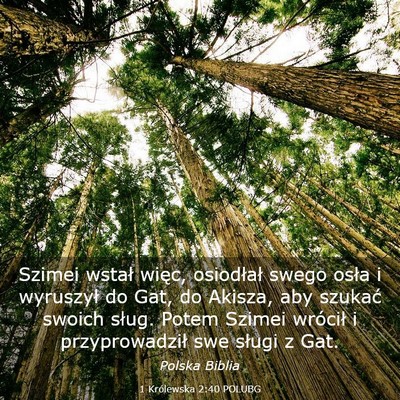 Picture 03 - 1 Królewska 2:40 POLUBG - Szimei wstał więc, osiodłał swego osła i - Bible Verse Picture