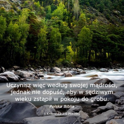 Picture 03 - 1 Królewska 2:6 POLUBG - Uczynisz więc według swojej mądrości, jednak - Bible Verse Picture