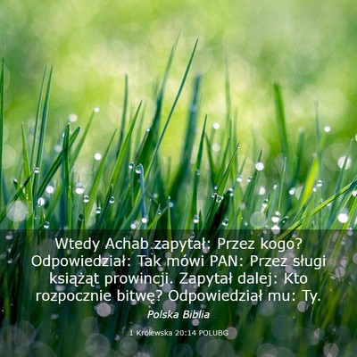 Picture 03 - 1 Królewska 20:14 POLUBG - Wtedy Achab zapytał: Przez kogo? Odpowiedział: - Bible Verse Picture