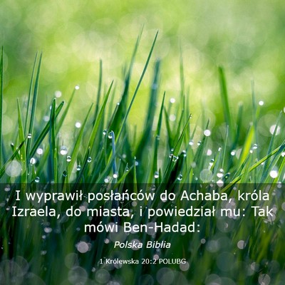 Picture 03 - 1 Królewska 20:2 POLUBG - I wyprawił posłańców do Achaba, króla - Bible Verse Picture