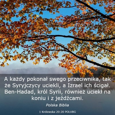 Picture 03 - 1 Królewska 20:20 POLUBG - A każdy pokonał swego przeciwnika, tak że - Bible Verse Picture