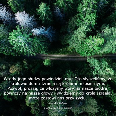 Picture 03 - 1 Królewska 20:31 POLUBG - Wtedy jego słudzy powiedzieli mu: Oto - Bible Verse Picture