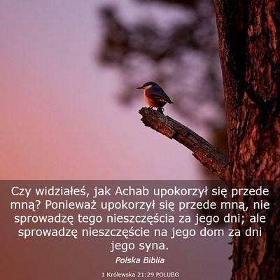Picture 03 - 1 Królewska 21:29 POLUBG - Czy widziałeś, jak Achab upokorzył się przede - Bible Verse Picture