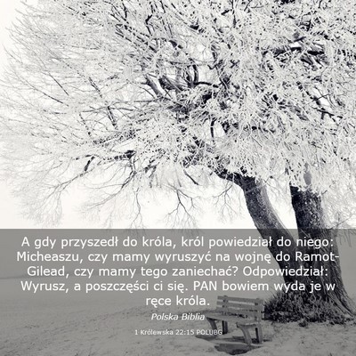 Picture 03 - 1 Królewska 22:15 POLUBG - A gdy przyszedł do króla, król powiedział do - Bible Verse Picture