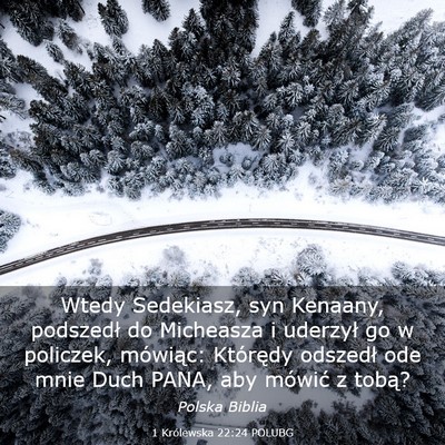 Picture 03 - 1 Królewska 22:24 POLUBG - Wtedy Sedekiasz, syn Kenaany, podszedł do - Bible Verse Picture