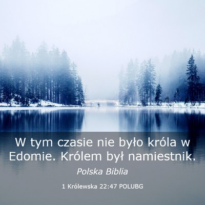 Picture 03 - 1 Królewska 22:47 POLUBG - W tym czasie nie było króla w Edomie. Królem - Bible Verse Picture