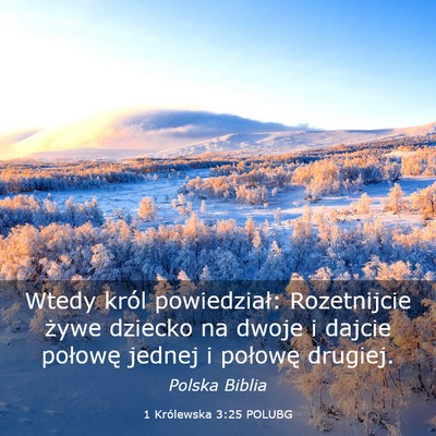 Picture 03 - 1 Królewska 3:25 POLUBG - Wtedy król powiedział: Rozetnijcie żywe - Bible Verse Picture
