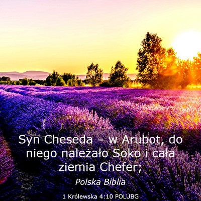 Picture 03 - 1 Królewska 4:10 POLUBG - Syn Cheseda – w Arubot, do niego należało - Bible Verse Picture