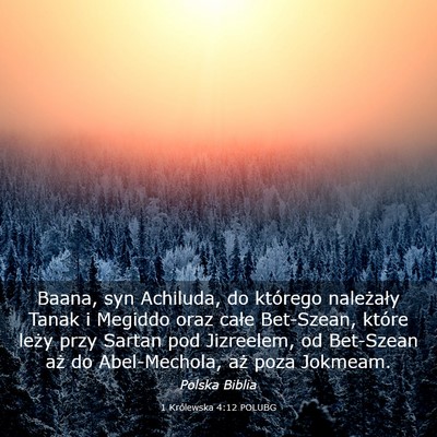 Picture 03 - 1 Królewska 4:12 POLUBG - Baana, syn Achiluda, do którego należały Tanak - Bible Verse Picture