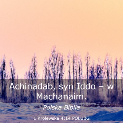 Picture 03 - 1 Królewska 4:14 POLUBG - Achinadab, syn Iddo – w - Bible Verse Picture