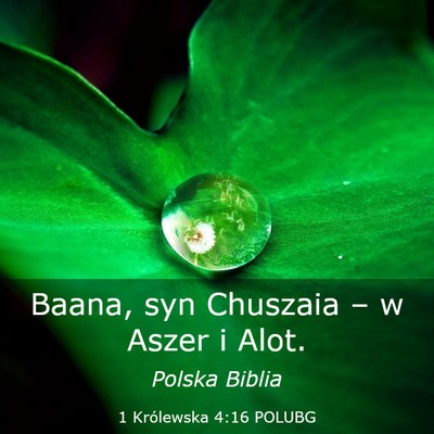 Picture 03 - 1 Królewska 4:16 POLUBG - Baana, syn Chuszaia – w Aszer i - Bible Verse Picture