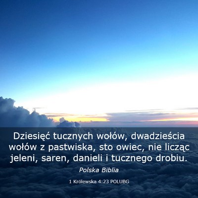 Picture 03 - 1 Królewska 4:23 POLUBG - Dziesięć tucznych wołów, dwadzieścia wołów - Bible Verse Picture