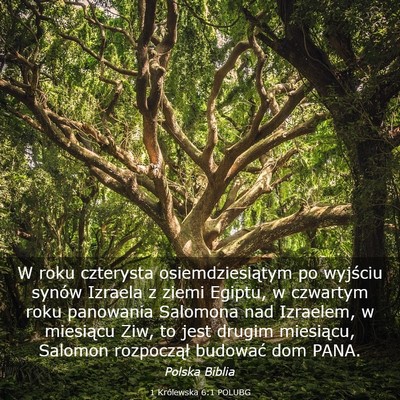 Picture 03 - 1 Królewska 6:1 POLUBG - W roku czterysta osiemdziesiątym po wyjściu - Bible Verse Picture