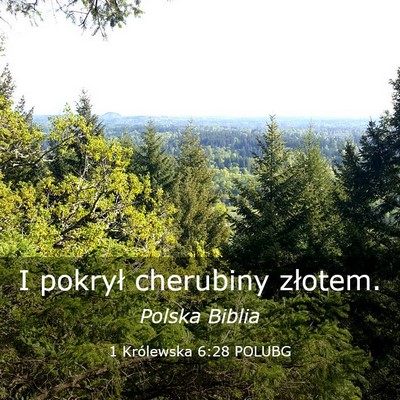 Picture 03 - 1 Królewska 6:28 POLUBG - I pokrył cherubiny - Bible Verse Picture