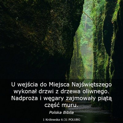 Picture 03 - 1 Królewska 6:31 POLUBG - U wejścia do Miejsca Najświętszego wykonał - Bible Verse Picture