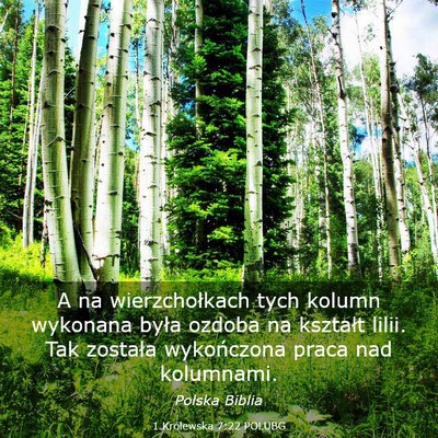 Picture 03 - 1 Królewska 7:22 POLUBG - A na wierzchołkach tych kolumn wykonana była - Bible Verse Picture