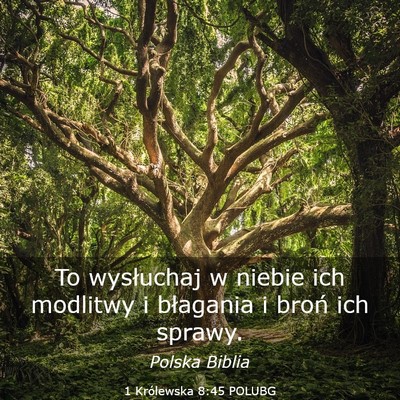 Picture 03 - 1 Królewska 8:45 POLUBG - To wysłuchaj w niebie ich modlitwy i błagania i - Bible Verse Picture