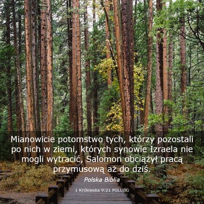 Picture 03 - 1 Królewska 9:21 POLUBG - Mianowicie potomstwo tych, którzy pozostali po - Bible Verse Picture