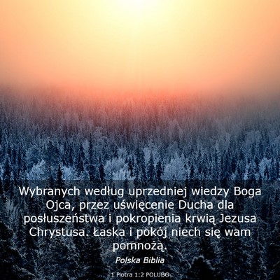 Picture 03 - 1 Piotra 1:2 POLUBG - Wybranych według uprzedniej wiedzy Boga Ojca, - Bible Verse Picture