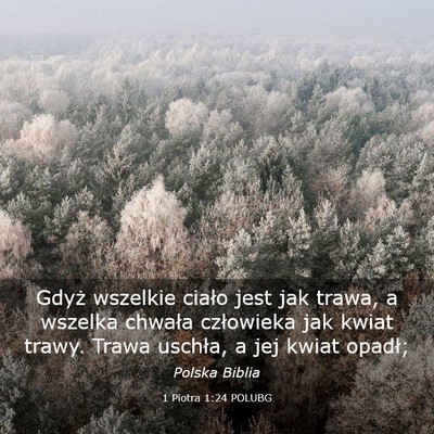 Picture 03 - 1 Piotra 1:24 POLUBG - Gdyż wszelkie ciało jest jak trawa, a wszelka - Bible Verse Picture