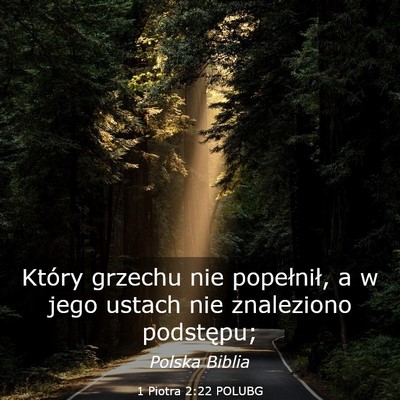 Picture 03 - 1 Piotra 2:22 POLUBG - Który grzechu nie popełnił, a w jego ustach - Bible Verse Picture