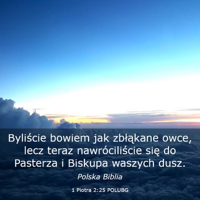Picture 03 - 1 Piotra 2:25 POLUBG - Byliście bowiem jak zbłąkane owce, lecz teraz - Bible Verse Picture