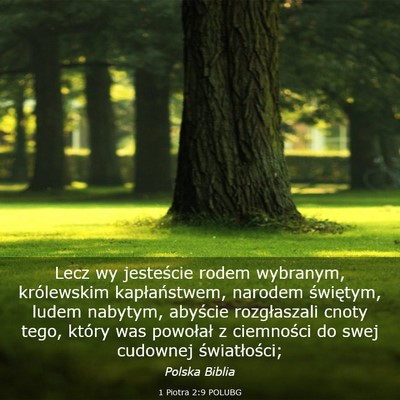 Picture 03 - 1 Piotra 2:9 POLUBG - Lecz wy jesteście rodem wybranym, królewskim - Bible Verse Picture