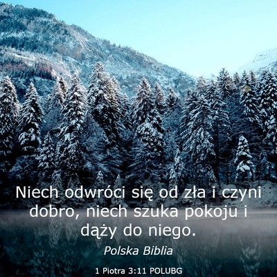 Picture 03 - 1 Piotra 3:11 POLUBG - Niech odwróci się od zła i czyni dobro, niech - Bible Verse Picture