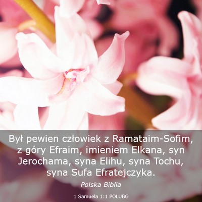 Picture 03 - 1 Samuela 1:1 POLUBG - Był pewien człowiek z Ramataim-Sofim, z góry - Bible Verse Picture