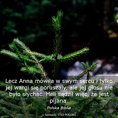 Picture 03 - 1 Samuela 1:13 POLUBG - Lecz Anna mówiła w swym sercu i tylko jej wargi - Bible Verse Picture