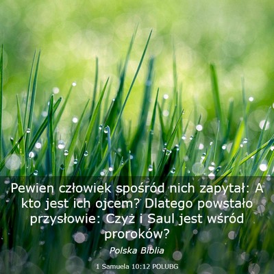 Picture 03 - 1 Samuela 10:12 POLUBG - Pewien człowiek spośród nich zapytał: A kto - Bible Verse Picture