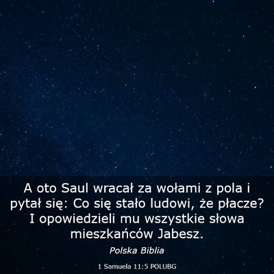 Picture 03 - 1 Samuela 11:5 POLUBG - A oto Saul wracał za wołami z pola i pytał - Bible Verse Picture